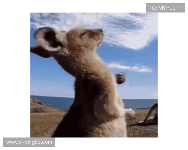 管晨辰居然连家里小狗都比我豪华，这生活差距也太大了吧