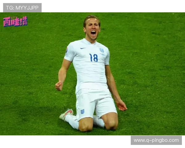 哈里·凯恩射门分布与转化率解析：终结效率是否稳定顶级